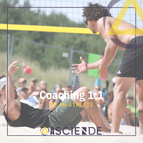Coach 1:1