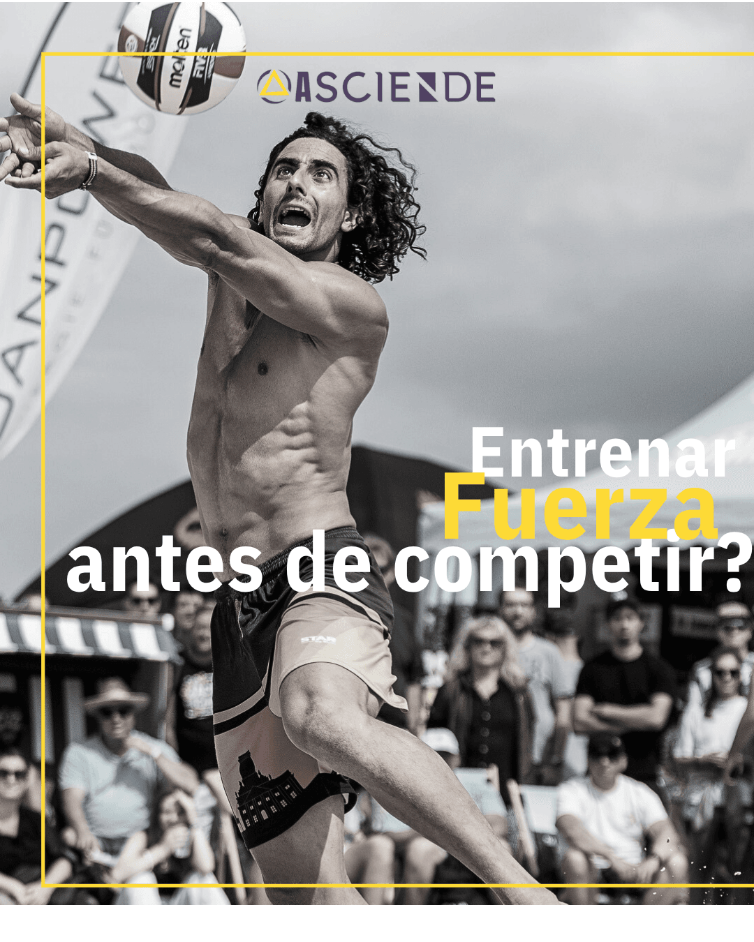 fuerza competencia